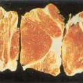 Mesa - trichinelioze.jpg